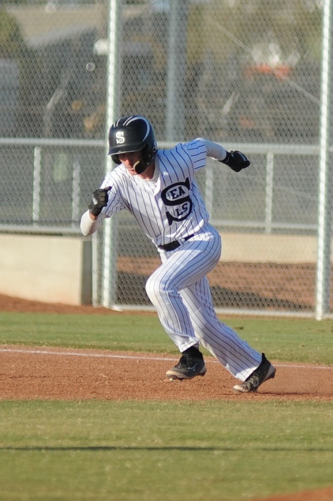 Seals_2019-08-23 (409).JPG - (c)2010 DeVetter